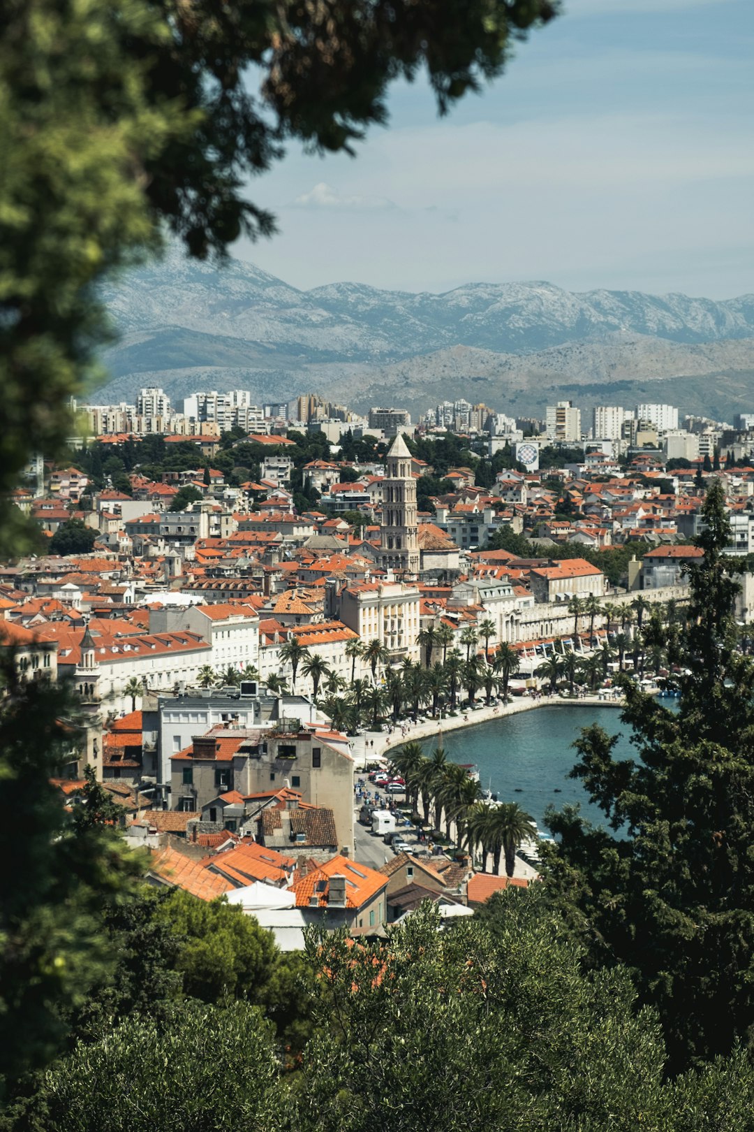 trees-and-buildings-near-body-of-water-6gscjc67nzg
